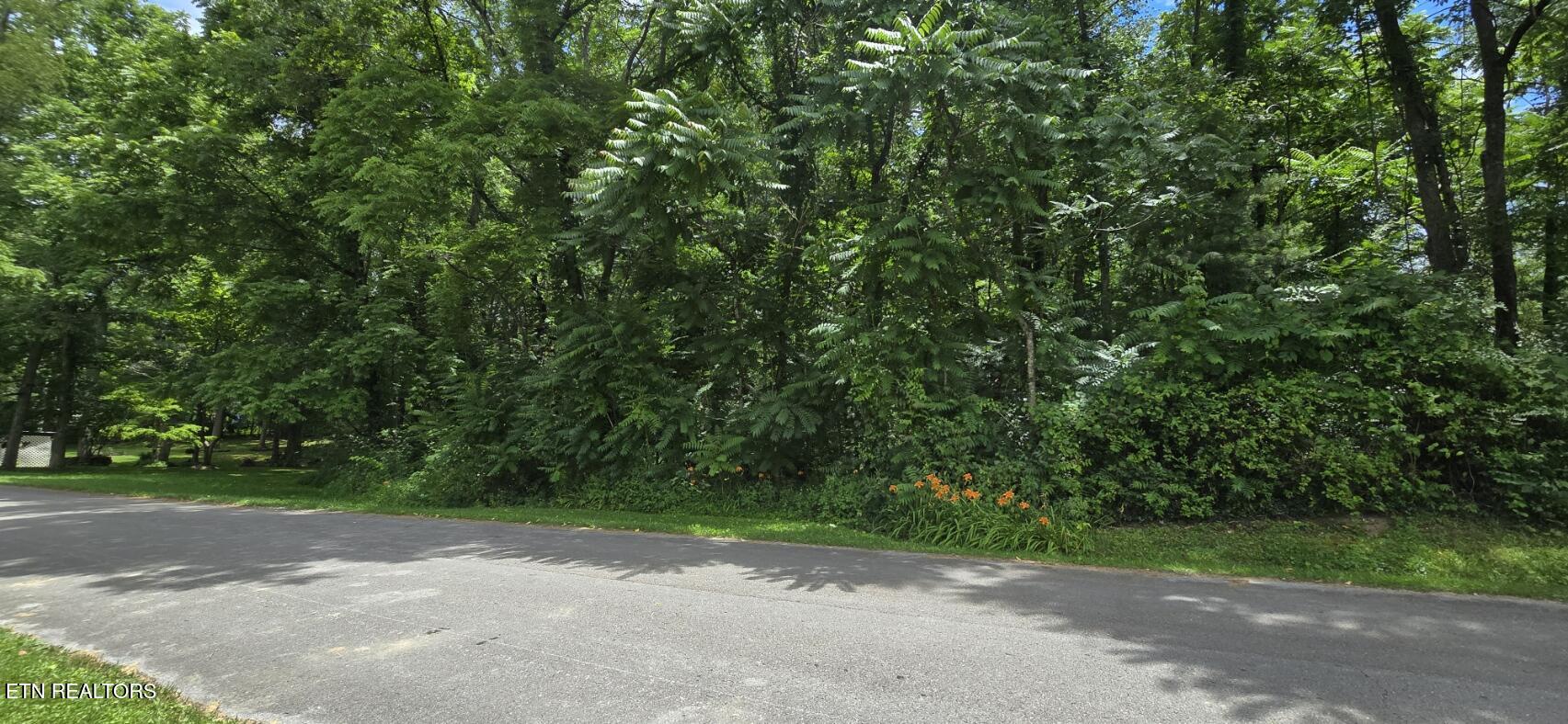 Shady Lane Oneida, TN 37841 - Photo 2 of 8 20260612_134644