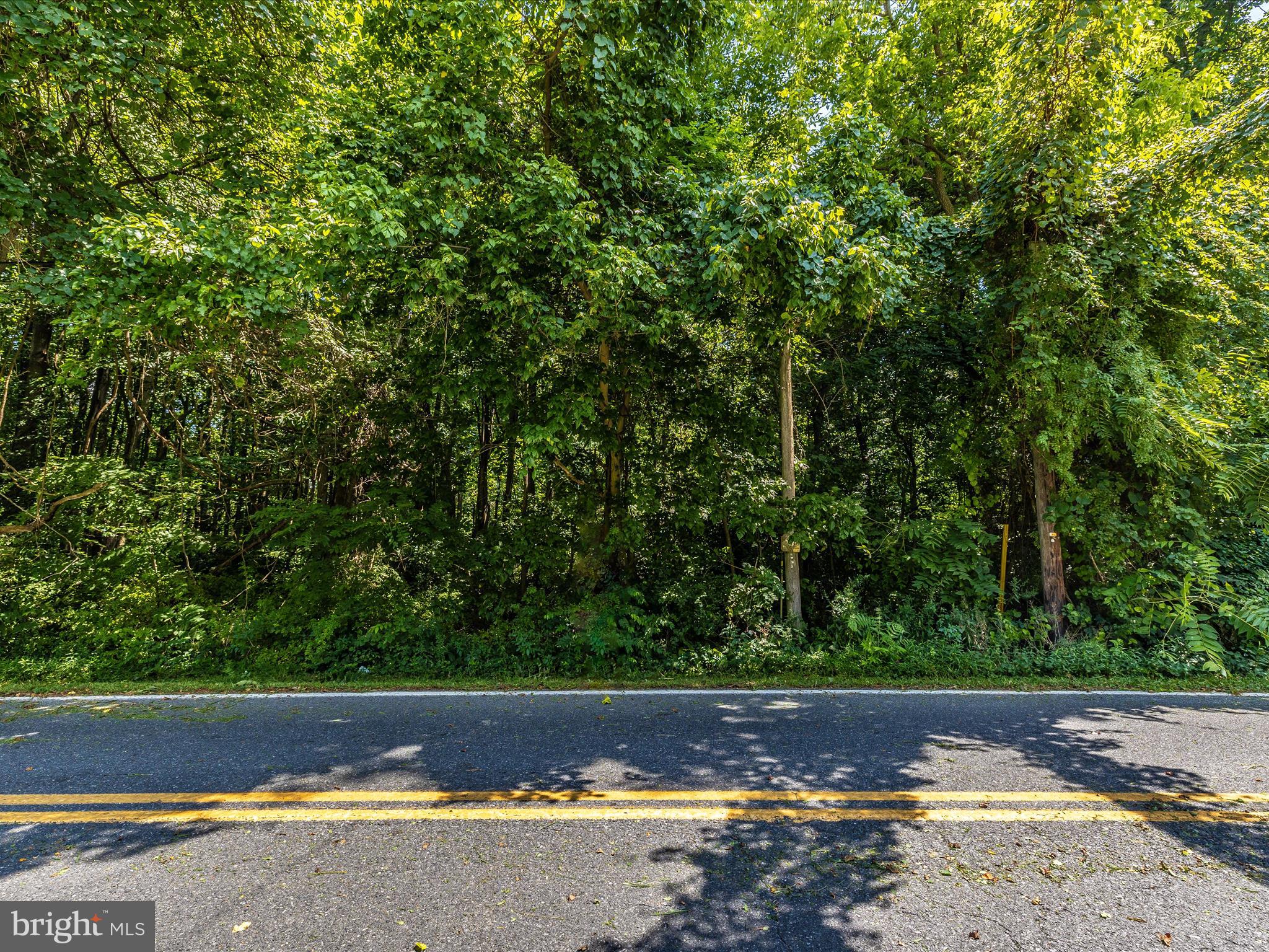 Lot 22 Mountain Church Road Middletown, MD 21769 - Photo 17 of 20 EK_09753