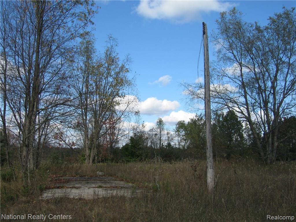 11614 North Manistee County Line Road Benzonia, MI 49616 - Photo 11 of 42 IMG_9474.JPG