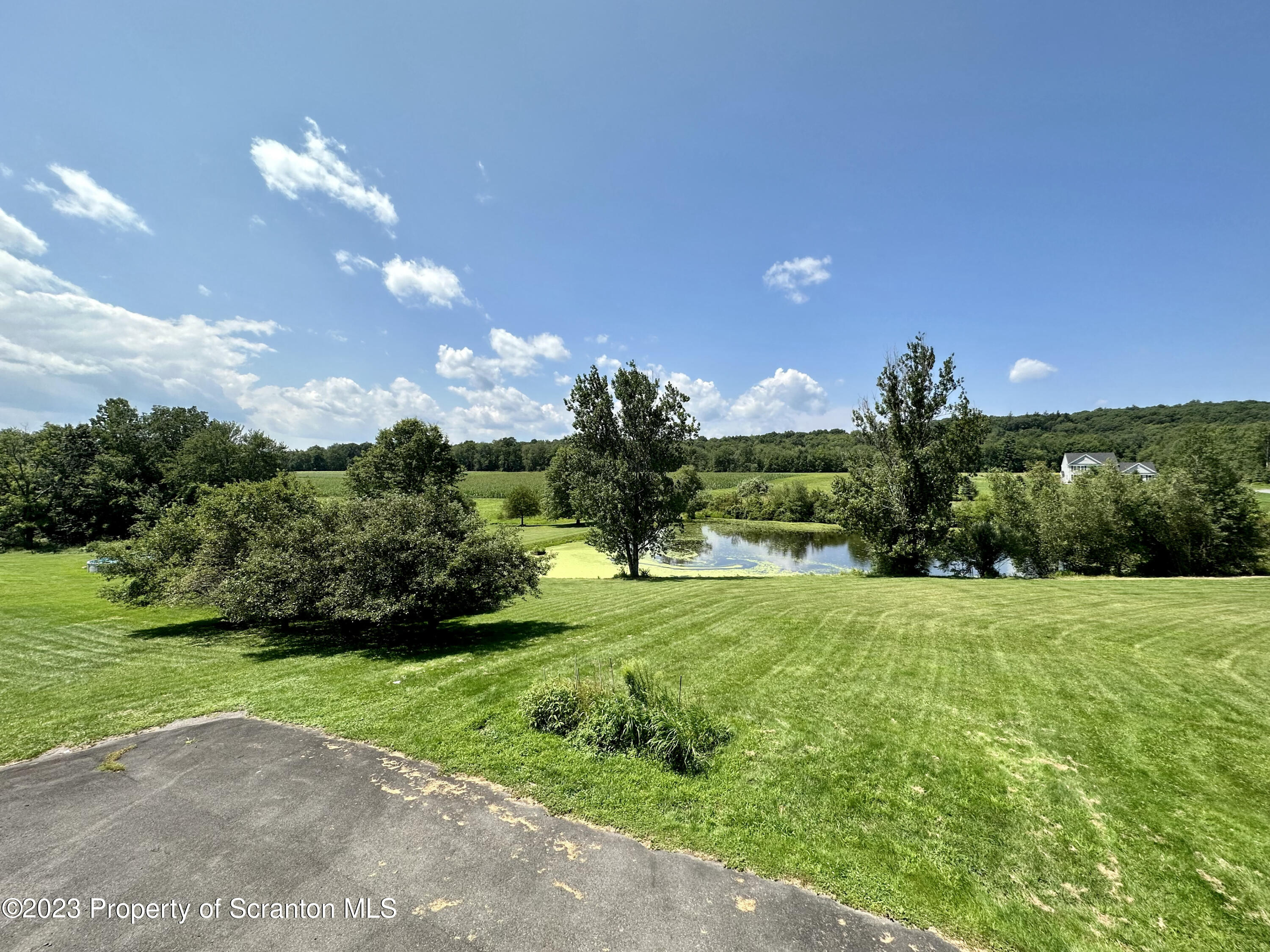 764 Coon Road Wyoming, PA 18644 - Photo 19 of 23 a yard with lots of green space and trees