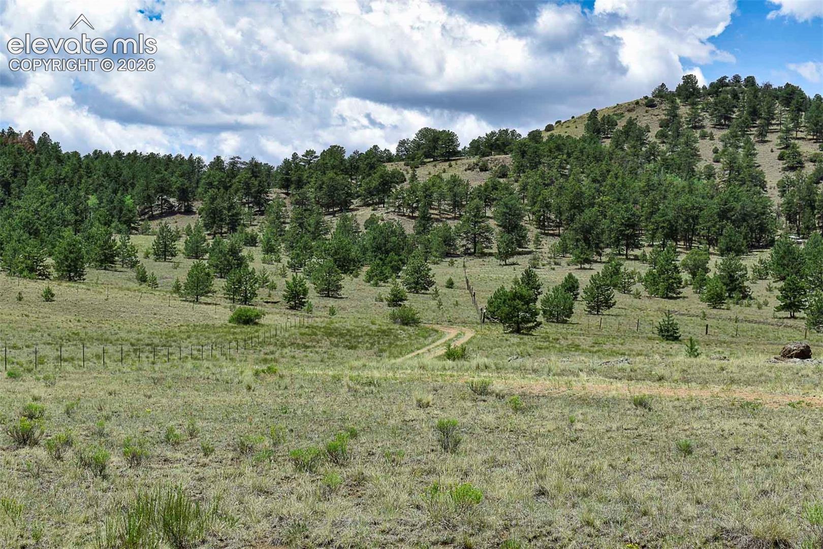 376 Copeland Road Guffey, CO 80820 - Photo 23 of 47