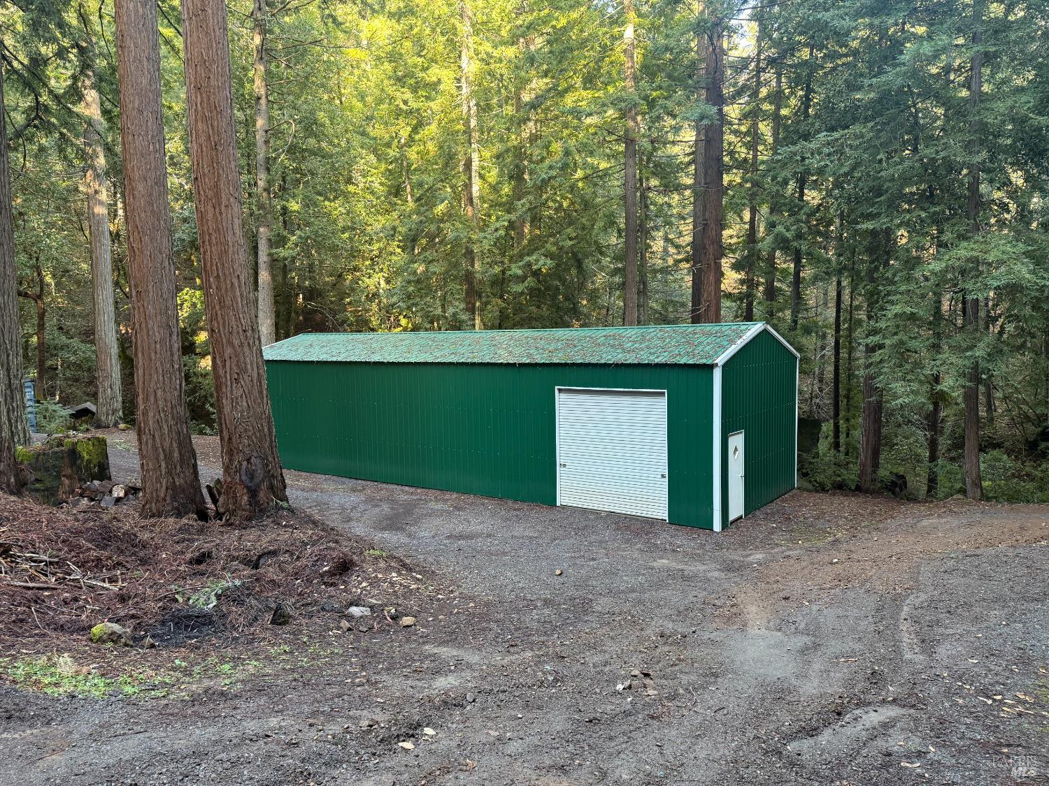 17001 Walker Lake Road Willits, CA 95490 - Photo 14 of 37 a view of a room with large trees and a forest
