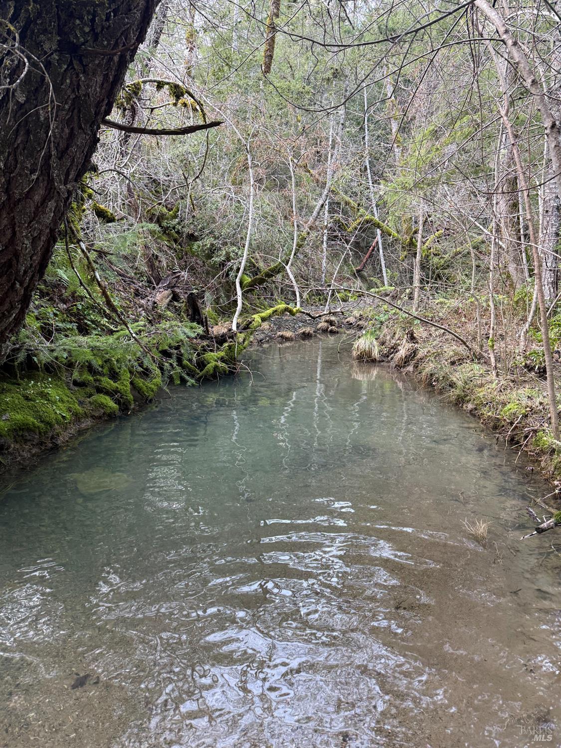 17001 Walker Lake Road Willits, CA 95490 - Photo 18 of 37 a view of a lake view