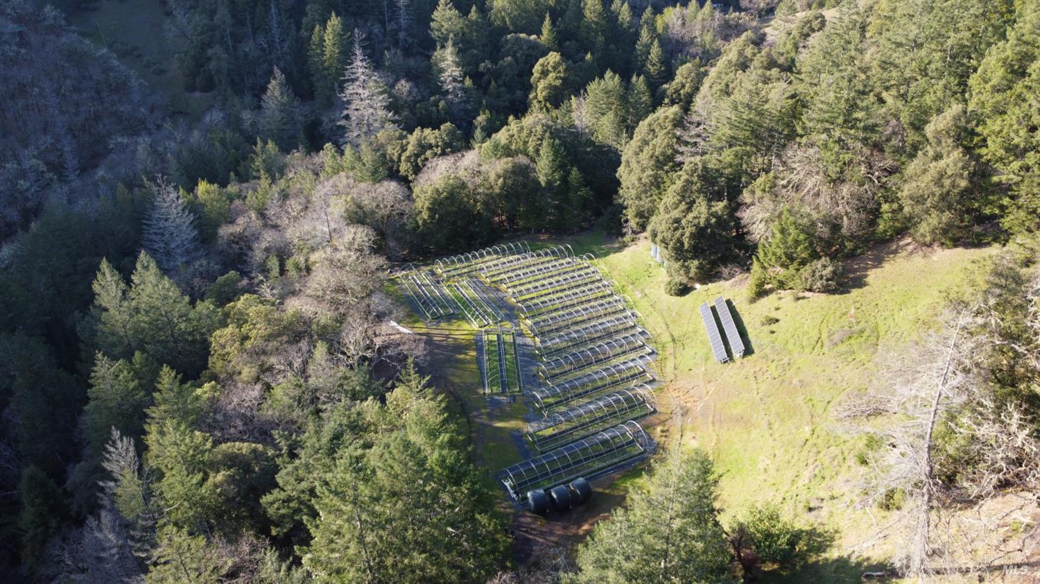 17001 Walker Lake Road Willits, CA 95490 - Photo 27 of 37 a view of fountain and flowers