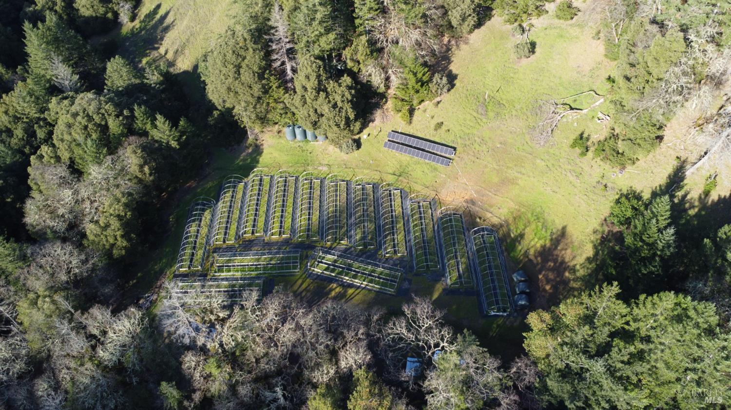 17001 Walker Lake Road Willits, CA 95490 - Photo 28 of 37 a view of garden
