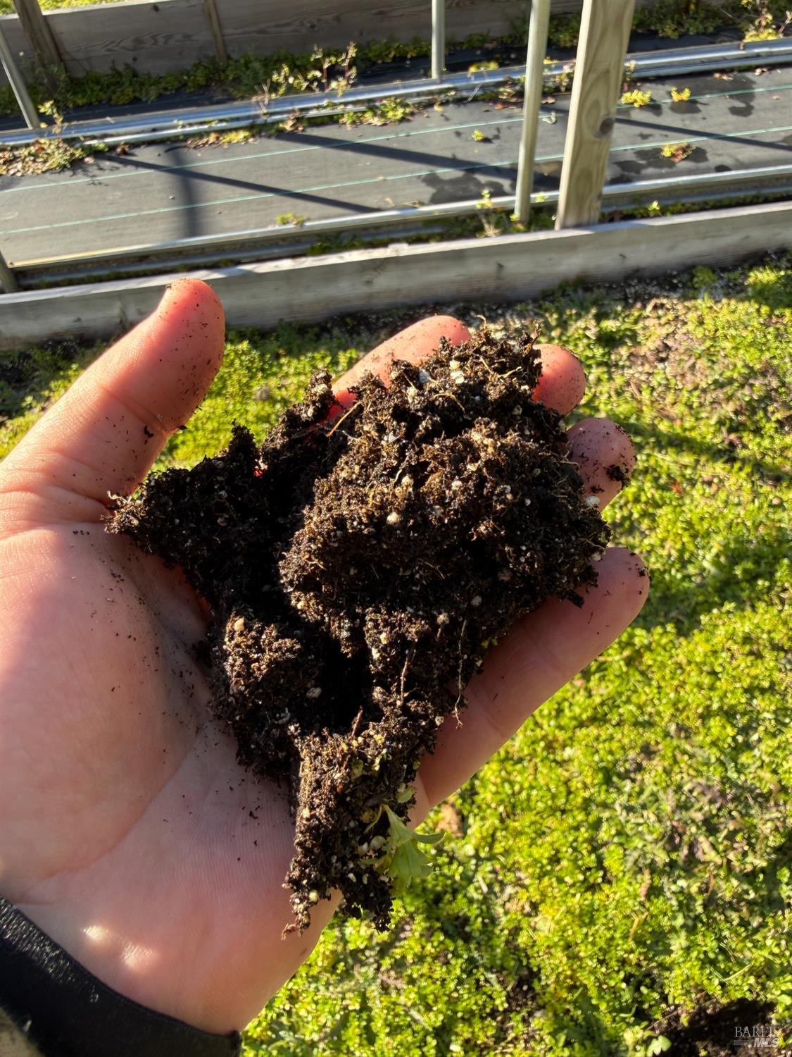 17001 Walker Lake Road Willits, CA 95490 - Photo 29 of 37 a view of a garden with flowers