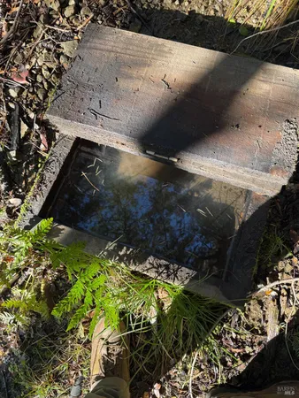 an aerial view of a house yard green space and residential houses with outdoor space