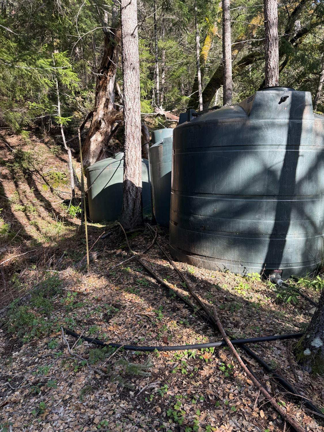 17001 Walker Lake Road Willits, CA 95490 - Photo 32 of 37 a view of street along with trees