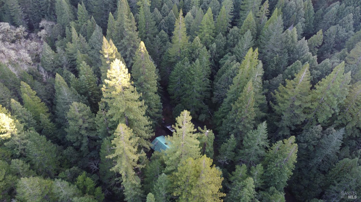 17001 Walker Lake Road Willits, CA 95490 - Photo 35 of 37 a view of a house with a yard