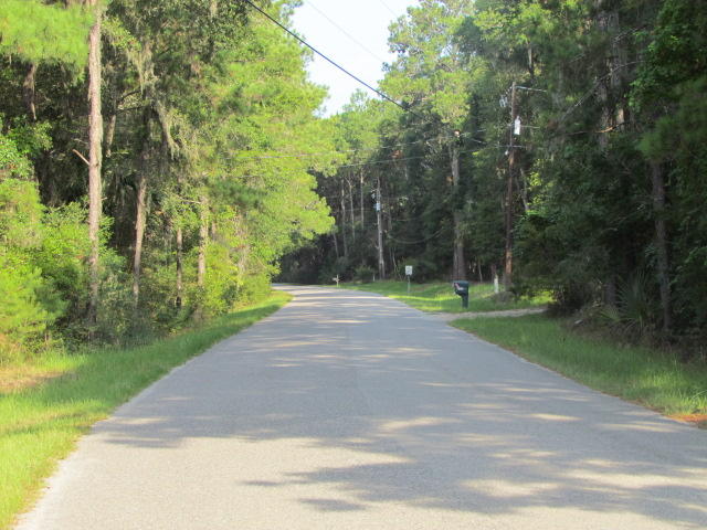 0 Palmetto Pointe Road, Unit 73 Edisto Island, SC 29438 - Photo 3 of 13 IMG_2387