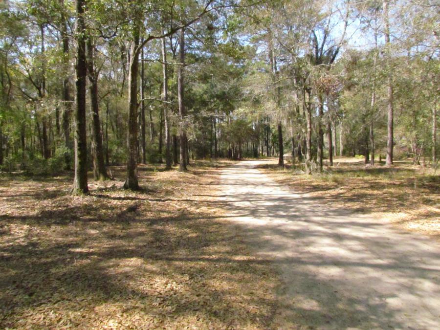 0 Palmetto Pointe Road, Unit 73 Edisto Island, SC 29438 - Photo 5 of 13 IMG_3684