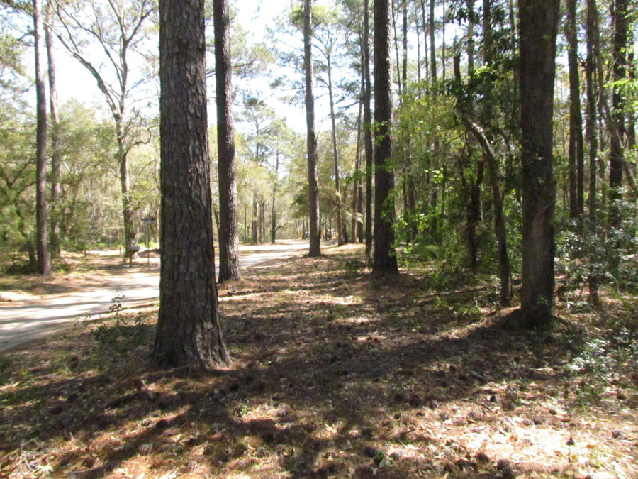 0 Palmetto Pointe Road, Unit 73 Edisto Island, SC 29438 - Photo 6 of 13 IMG_3678