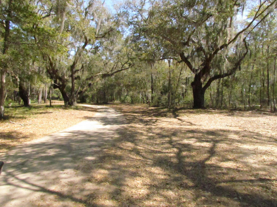 0 Palmetto Pointe Road, Unit 73 Edisto Island, SC 29438 - Photo 9 of 13 IMG_3682