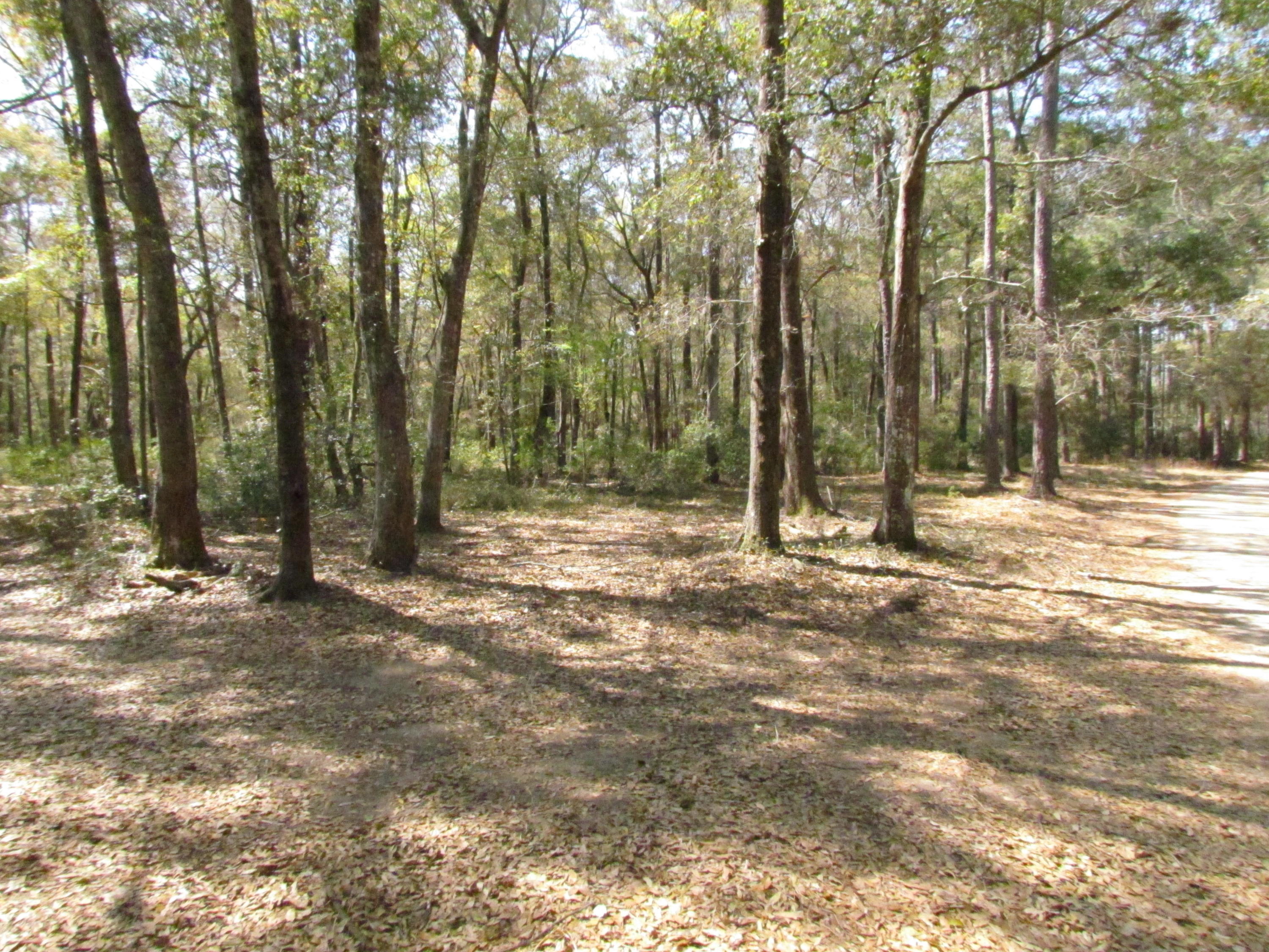 0 Palmetto Pointe Road, Unit 73 Edisto Island, SC 29438 - Photo 10 of 13 IMG_3683