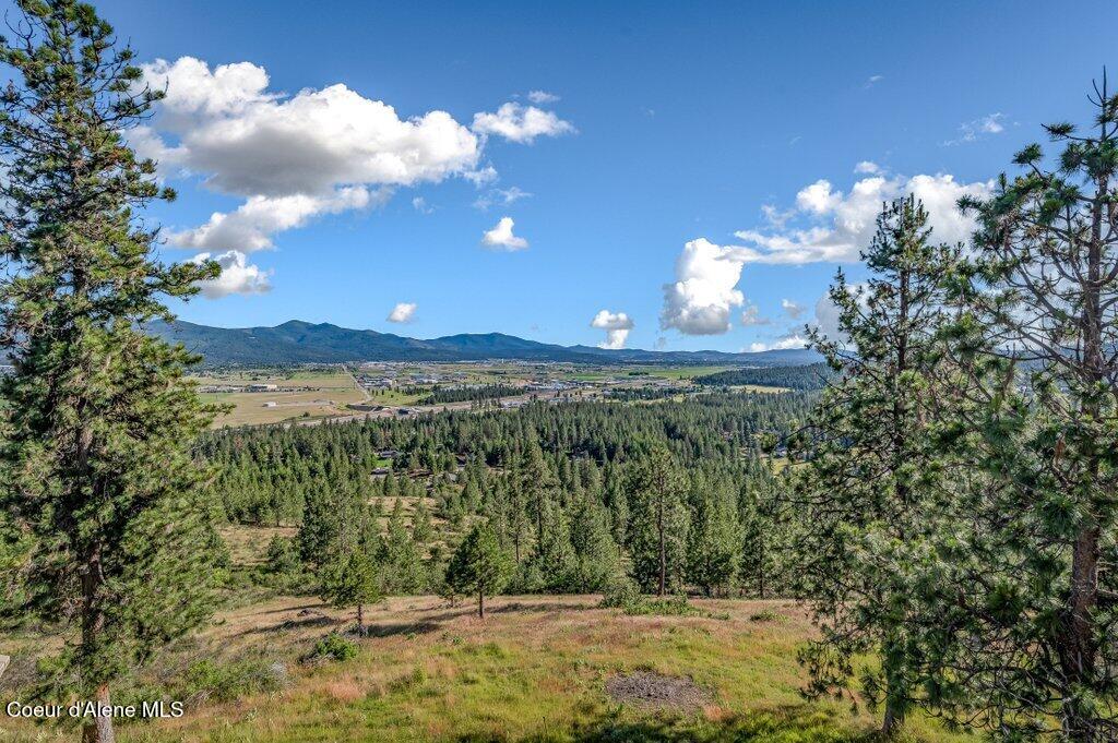 10715 North Payment Peak Road Post Falls, ID 83854 - Photo 89 of 118 --90.jpg-SMALL