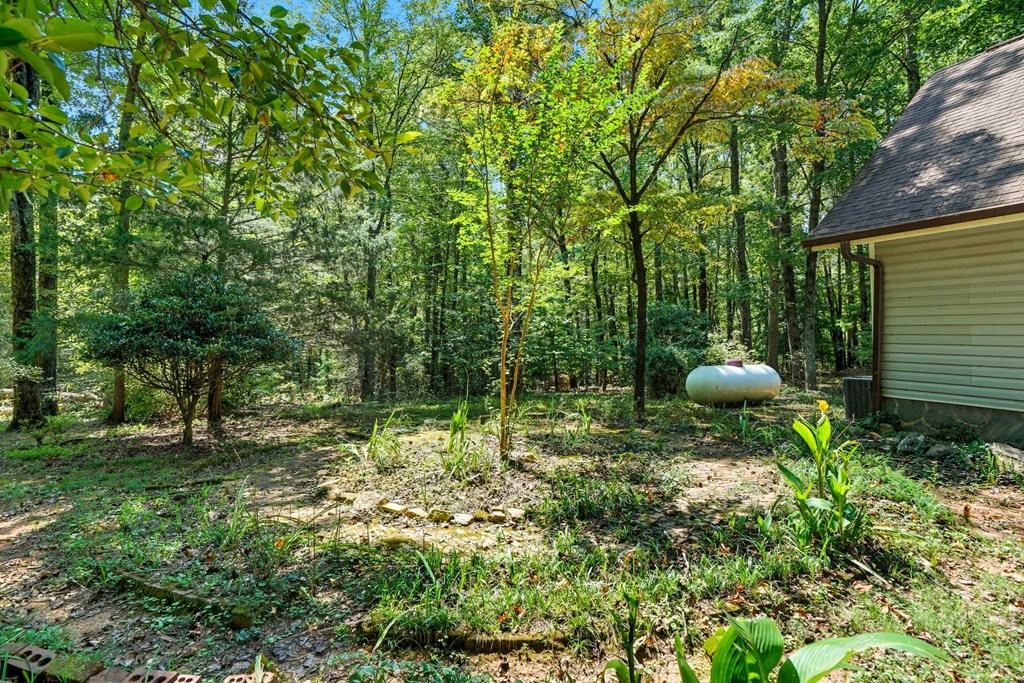 20 Sweetwater Trail Jasper, GA 30143 - Photo 36 of 46 a backyard of a house with lots of green space
