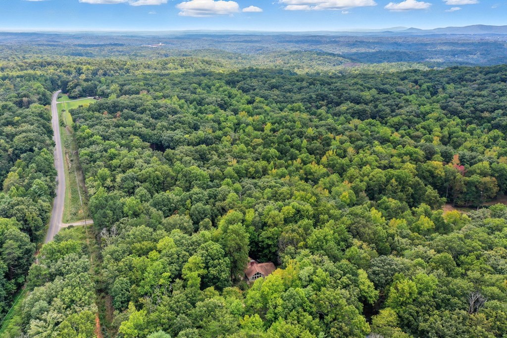 20 Sweetwater Trail Jasper, GA 30143 - Photo 39 of 46 a view of a green field