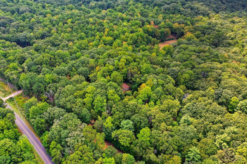 20 Sweetwater Trail Jasper, GA 30143 - Photo 40 of 46 a view of a lush green forest with a houses