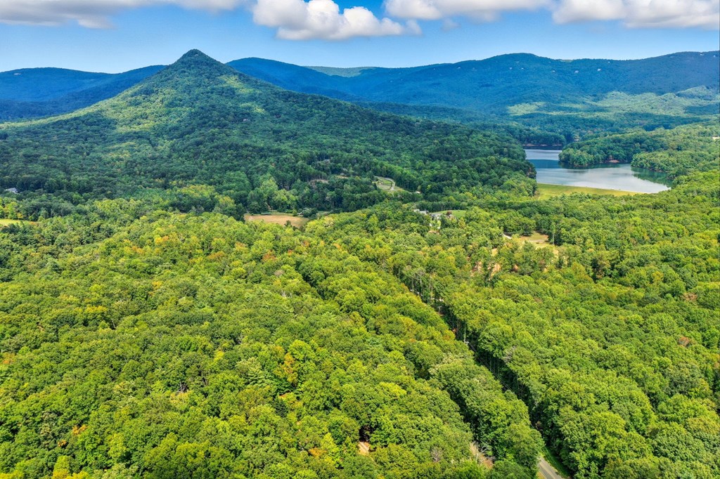 20 Sweetwater Trail Jasper, GA 30143 - Photo 41 of 46 a view of a lush green hillside and a building