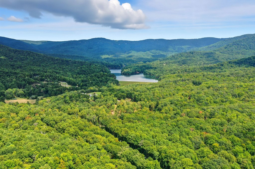 20 Sweetwater Trail Jasper, GA 30143 - Photo 42 of 46 a view of a lush green forest with mountains in the background