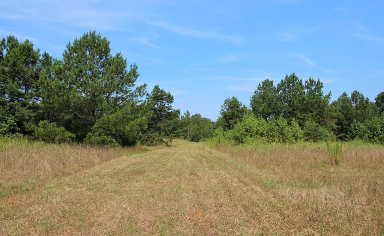 1275 W Road Spartanburg, SC 29302 - Photo 1 of 13 Gallery Image 1