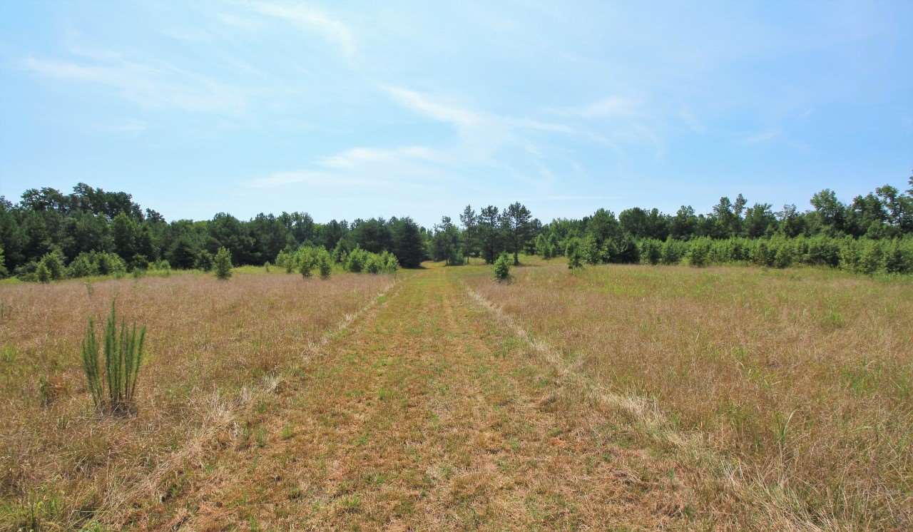 1275 W Road Spartanburg, SC 29302 - Photo 3 of 13 Gallery Image 3