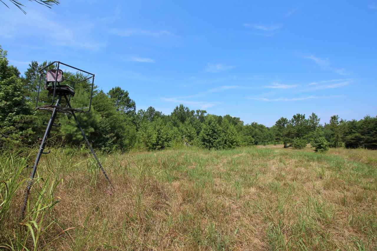 1275 W Road Spartanburg, SC 29302 - Photo 4 of 13 Gallery Image 4