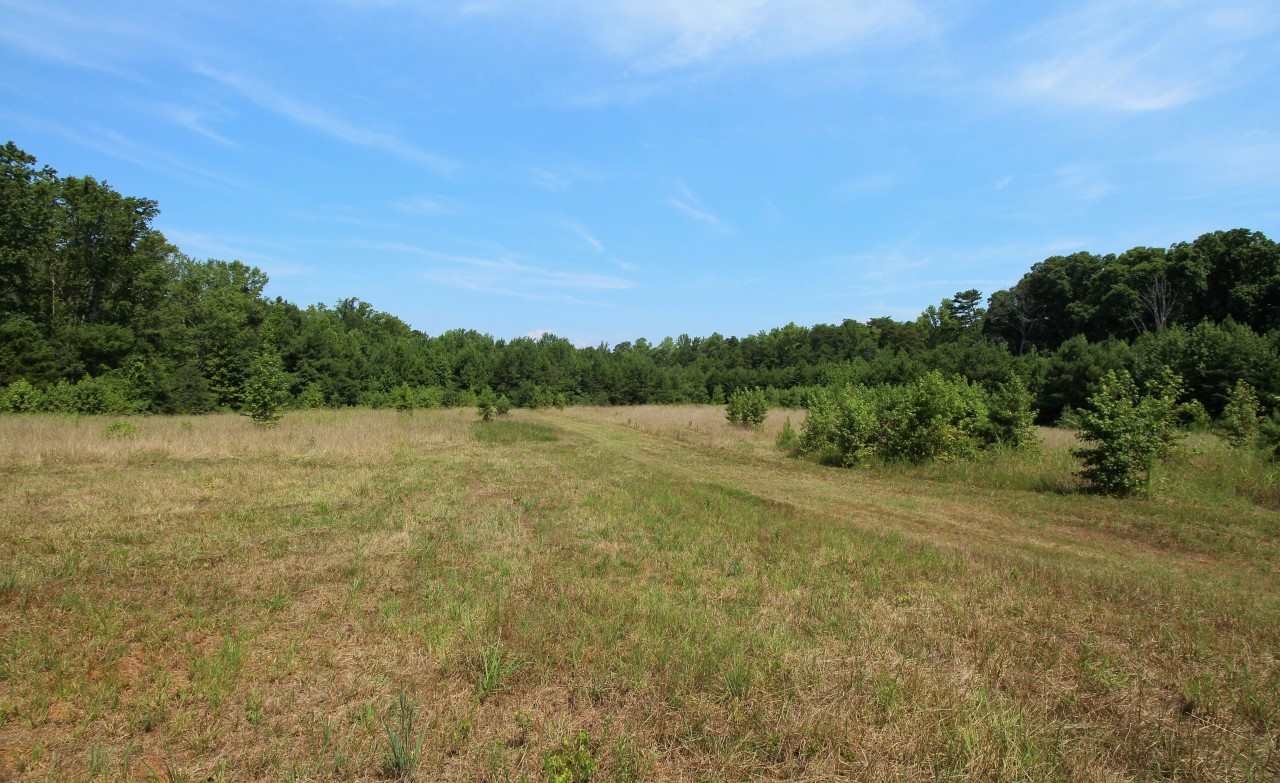 1275 W Road Spartanburg, SC 29302 - Photo 6 of 13 Gallery Image 6