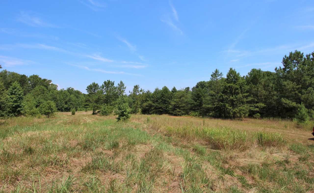 1275 W Road Spartanburg, SC 29302 - Photo 7 of 13 Gallery Image 7