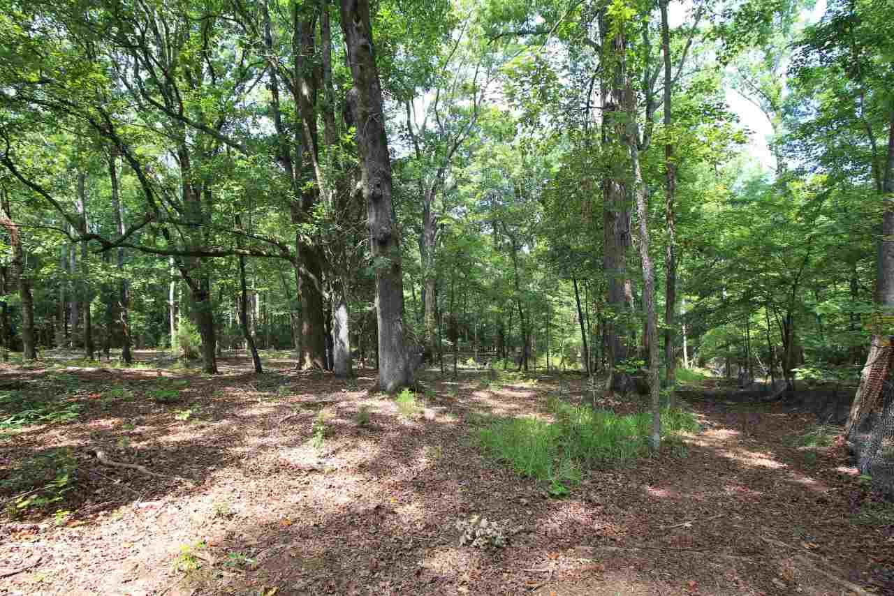 1275 W Road Spartanburg, SC 29302 - Photo 10 of 13 Gallery Image 10