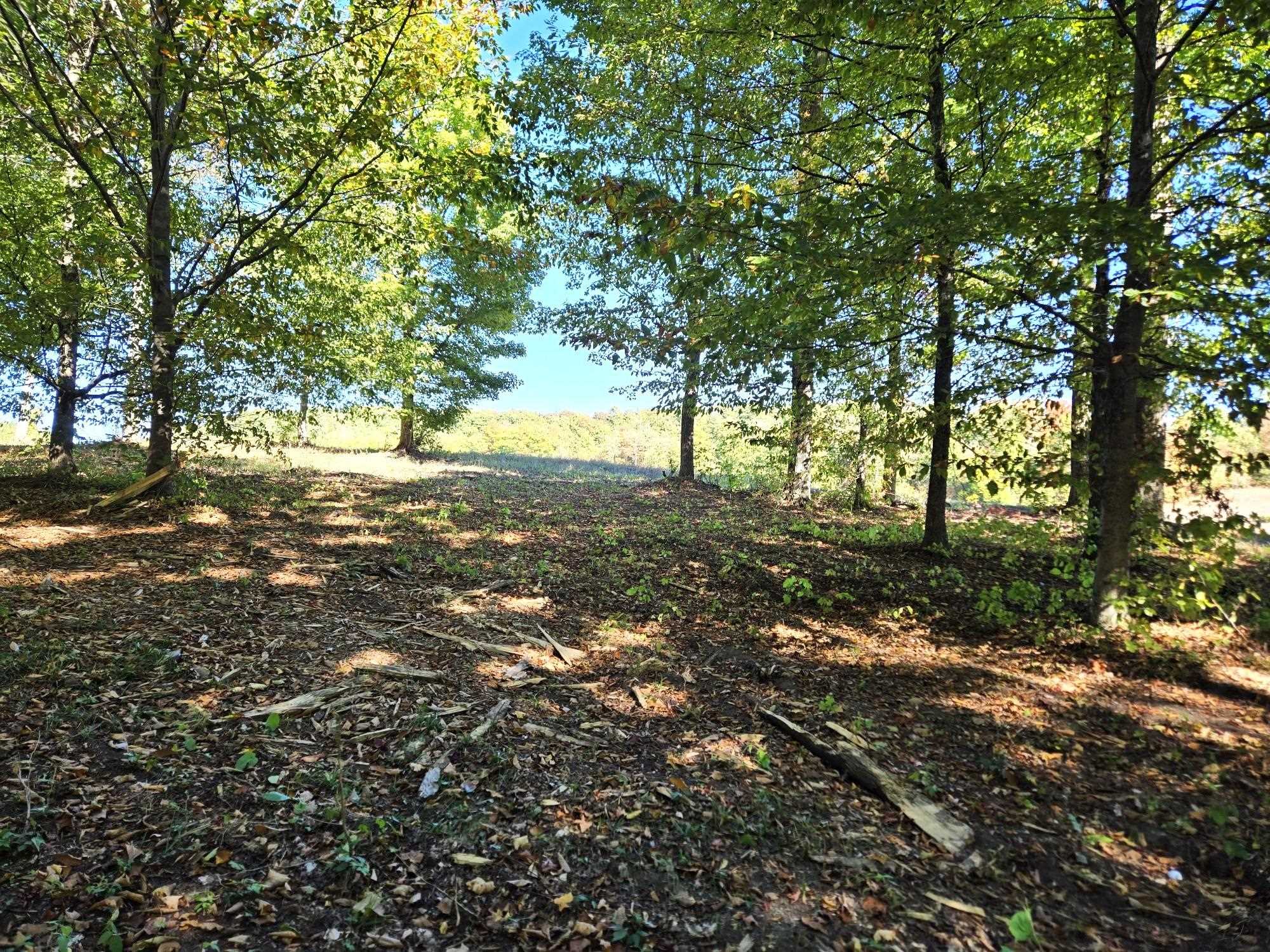 18 Heather Ridge Trail Beulah, MI 49617 - Photo 7 of 12