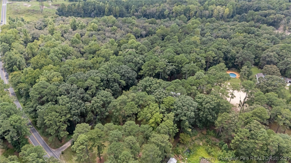 610 Maynard Lake Road Erwin, NC 28339 - Photo 6 of 49 an aerial view of a house with a yard