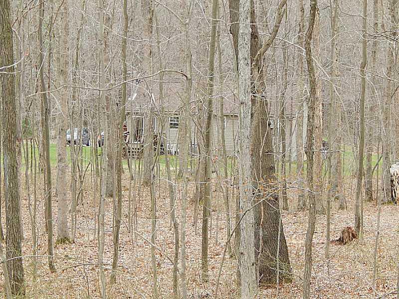 30 Shaffer School Road Ohiopyle, PA 15470 - Photo 6 of 25 Exterior Back. Walking through your own private forest loving nature.