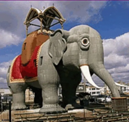 a close view of shoes