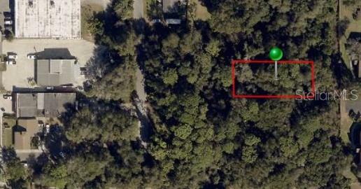 2nd Street DeLand, FL 32720 - Photo 19 of 28 a view of a back yard