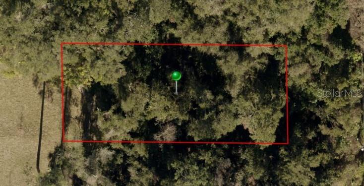 2nd Street DeLand, FL 32720 - Photo 20 of 28 an aerial view of street and trees