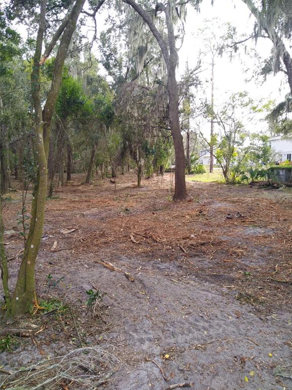 2nd Street DeLand, FL 32720 - Photo 3 of 28 a view of a yard with trees