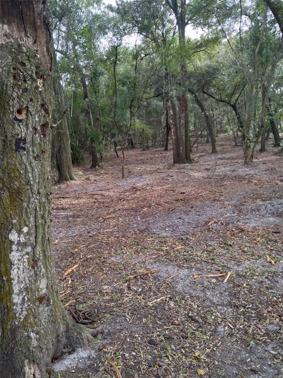 2nd Street DeLand, FL 32720 - Photo 4 of 28 a view of outdoor space with trees