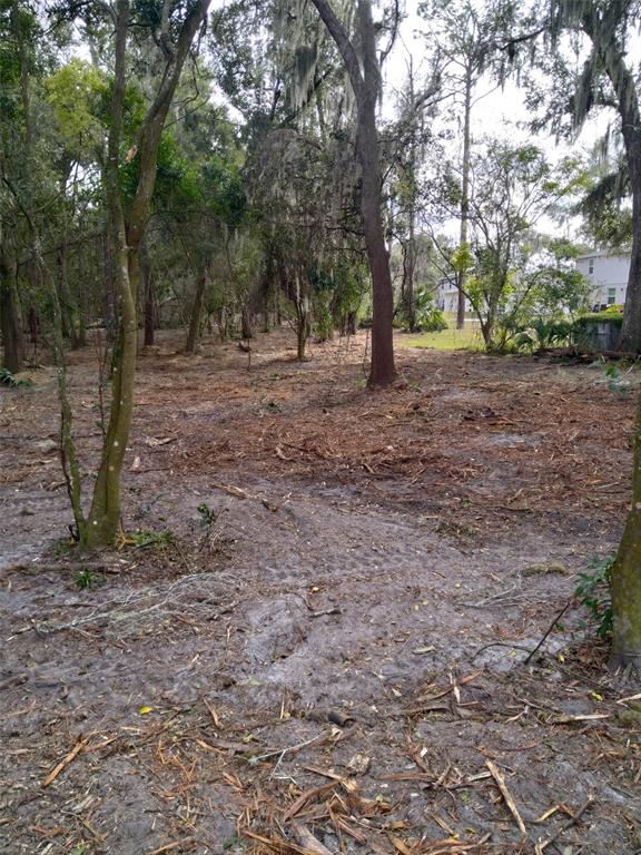 2nd Street DeLand, FL 32720 - Photo 5 of 28 a view of outdoor space with trees