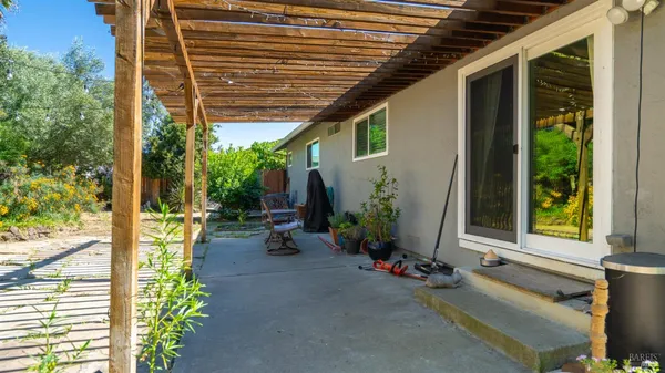a view of a yard with plants and trees