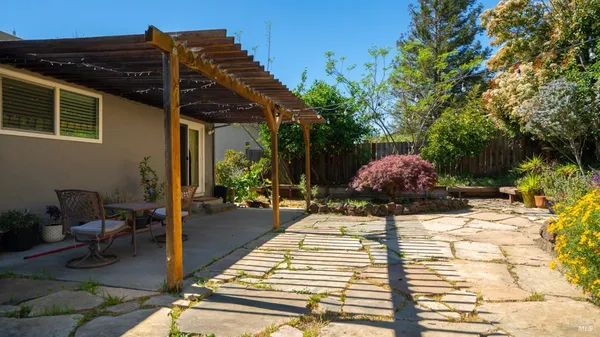 a view of a backyard with plants and large trees