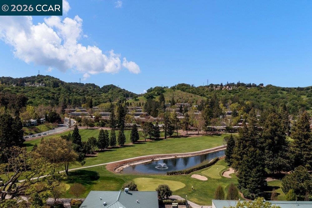 2001 Golden Rain Road, Unit 4 Walnut Creek, CA 94595 - Photo 39 of 60 a view of a swimming pool with a yard and large trees