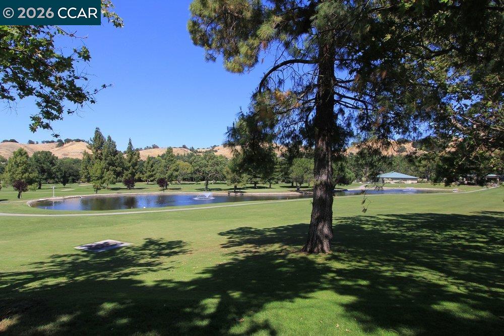2001 Golden Rain Road, Unit 4 Walnut Creek, CA 94595 - Photo 58 of 60 a view of a lake with houses in the background