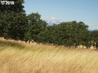 33 Deerfield Road Lyle, WA 98635 - Photo 16 of 21 Gallery Image 16