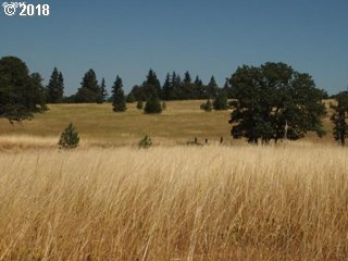 33 Deerfield Road Lyle, WA 98635 - Photo 17 of 21 Gallery Image 17
