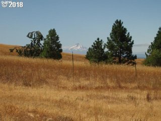33 Deerfield Road Lyle, WA 98635 - Photo 4 of 21 Gallery Image 4