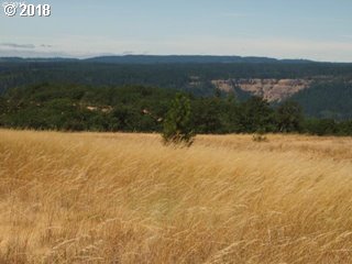 33 Deerfield Road Lyle, WA 98635 - Photo 5 of 21 Gallery Image 5