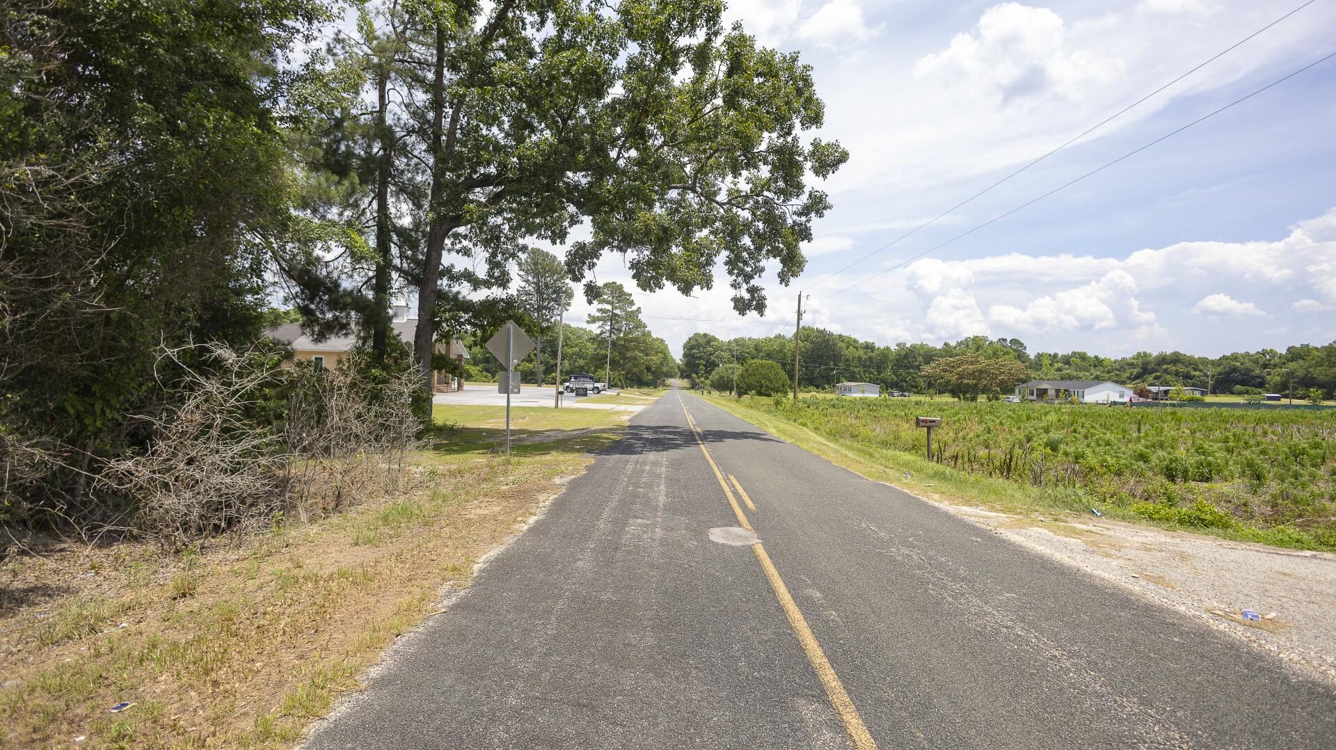 2 Joseph Lemon And Dingle Road Manning, SC 29102 - Photo 13 of 44