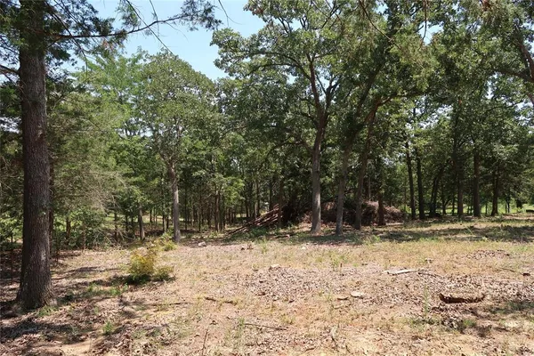 $145,000 | Tbd Johnson Road, Denison, TX 75021