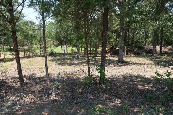 $145,000 | Tbd Johnson Road, Denison, TX 75021